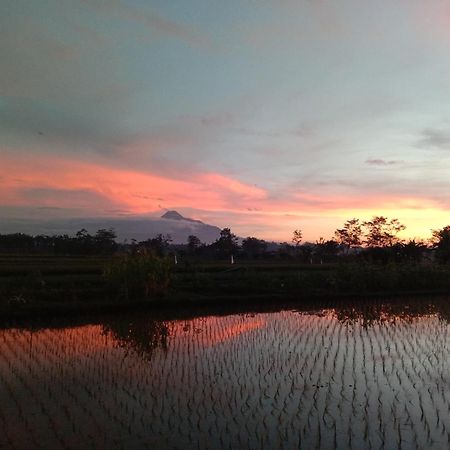 Rumah Ukhi Guest House Cebongan Zewnętrze zdjęcie